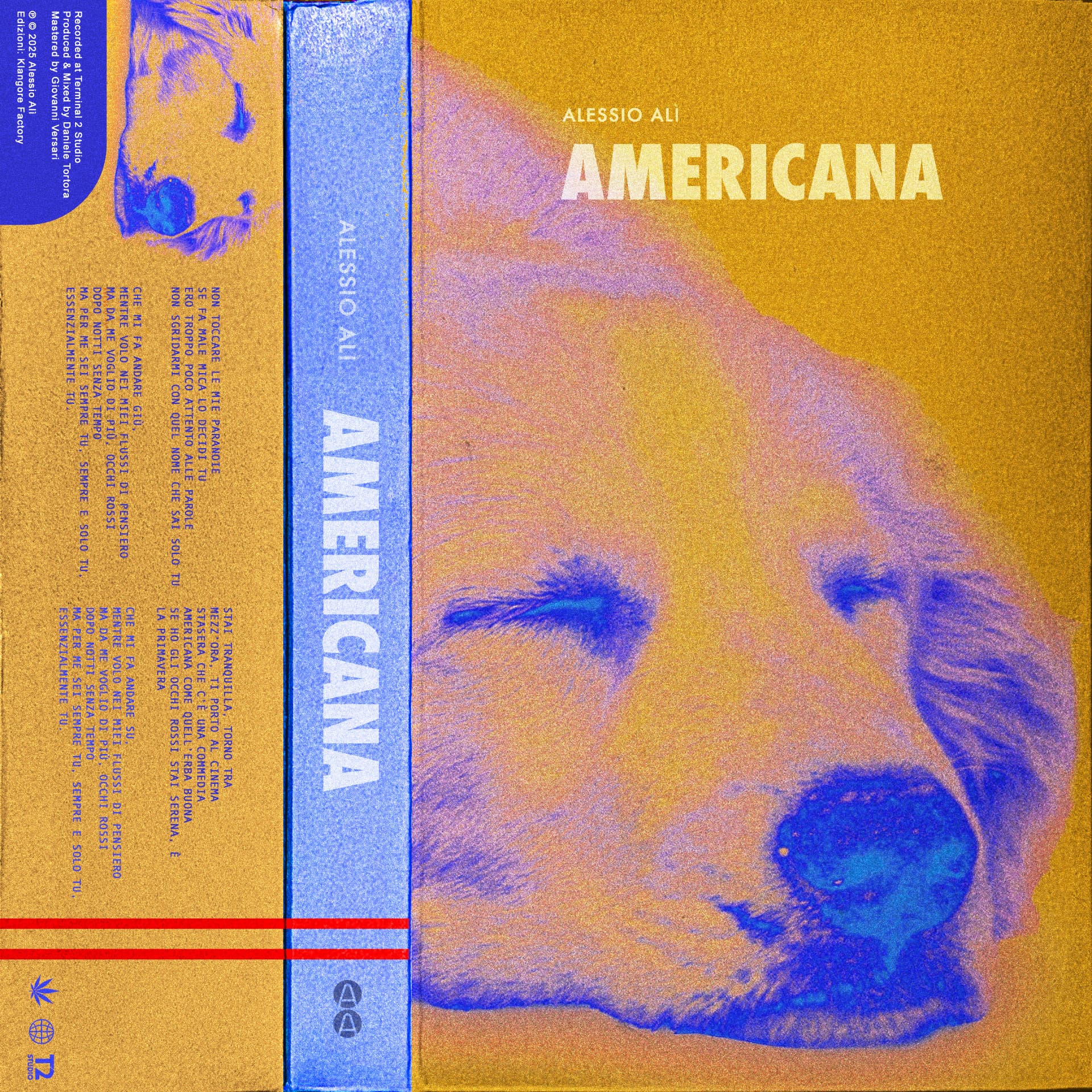 Alessio Alì — Americana